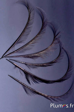 Faisan doré sculpté - 35 cm - anthracite